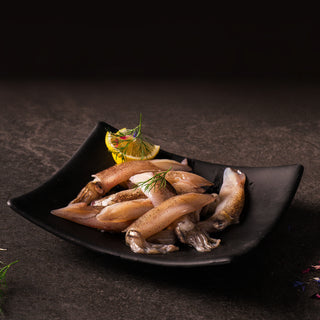 Sepia – Patagonischer Tintenfisch